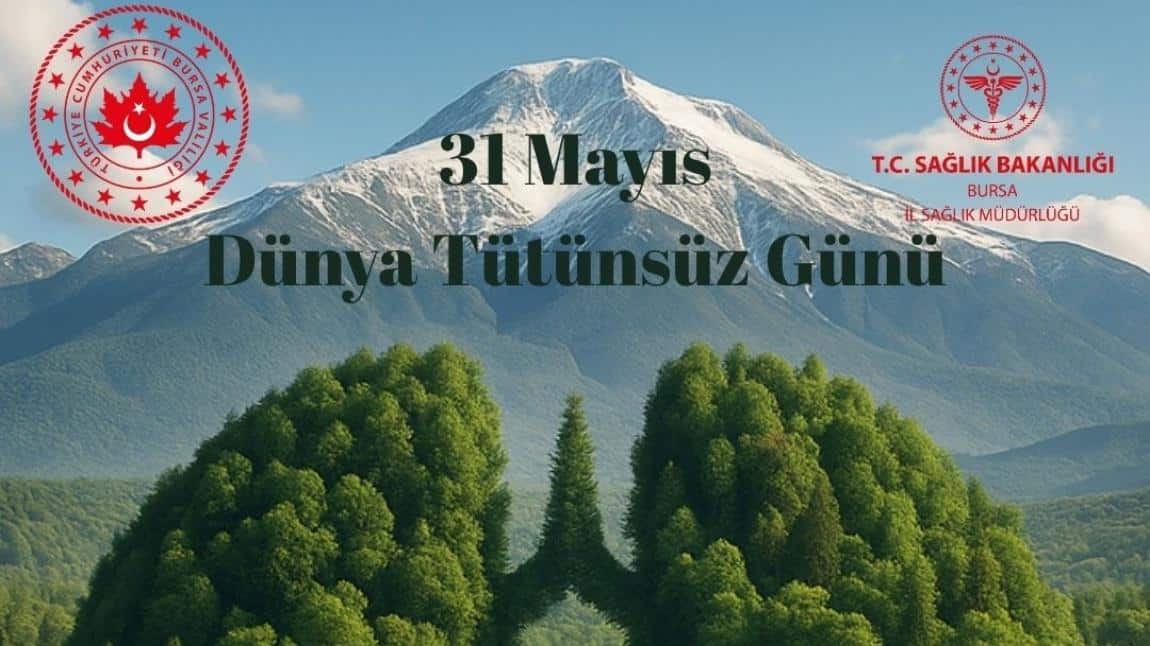 Dünya Tütünsüz Günü Kutlu Olsun